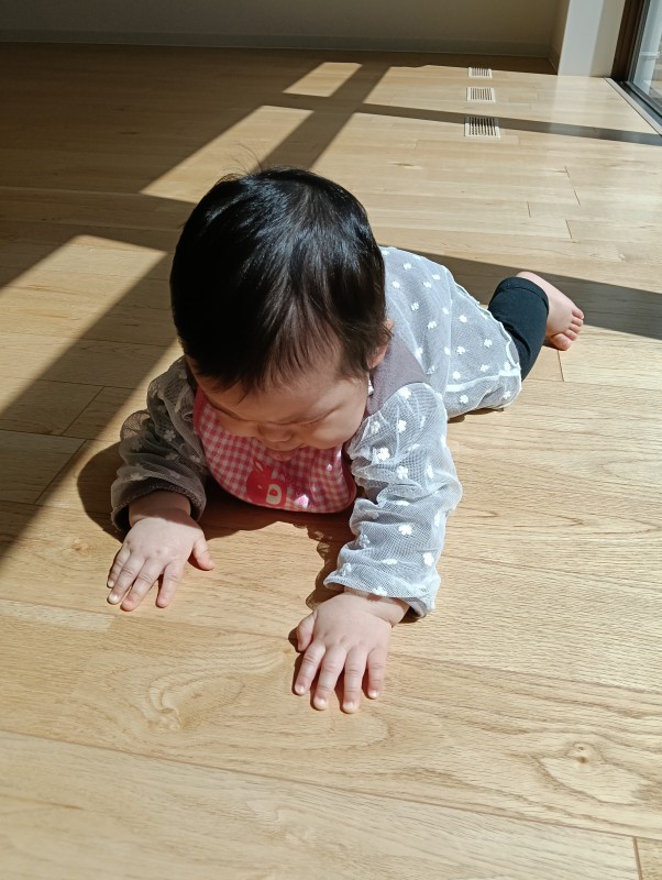 IMG20260420103509 - コピー