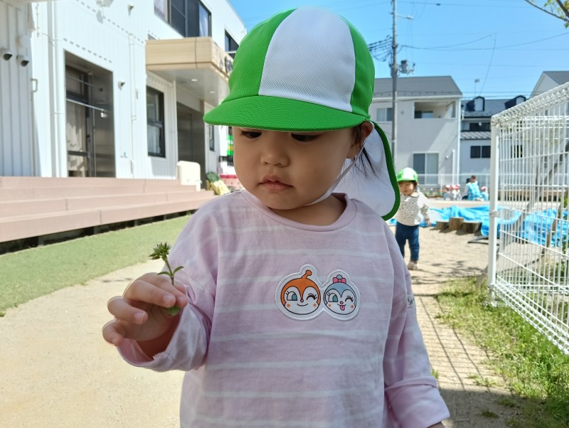 IMG20260422101124