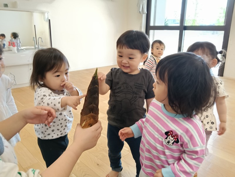 IMG20260511095904