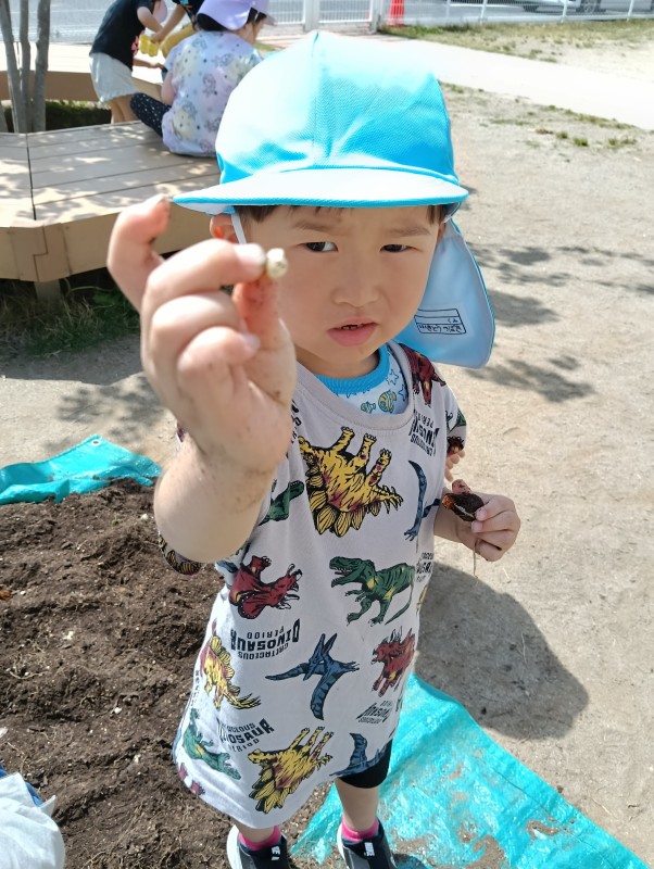 IMG20260519094401