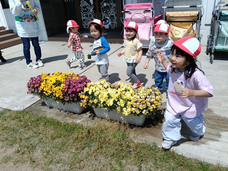 IMG20260515100917