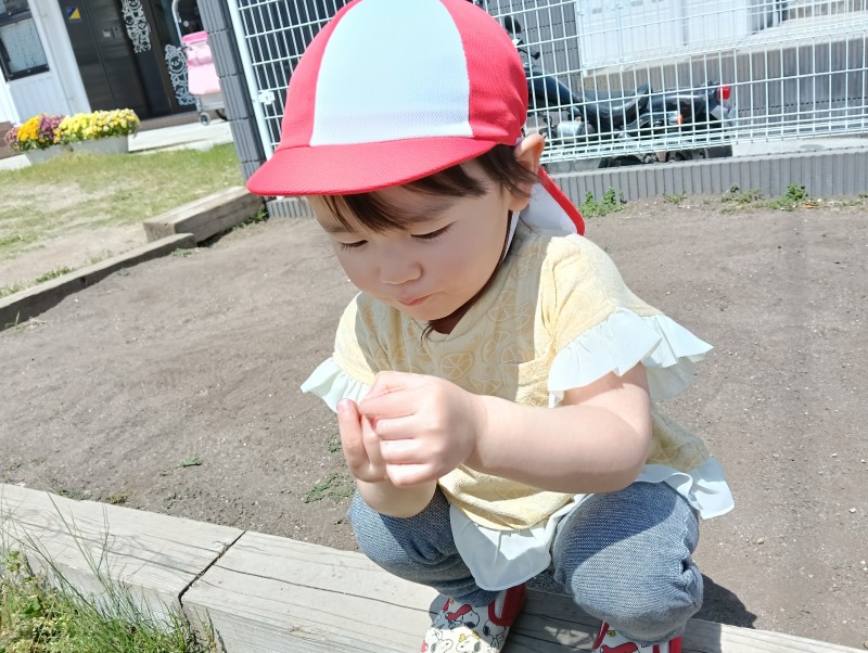 IMG20260515101636