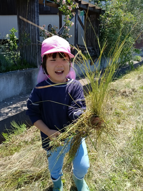 IMG20260605095738