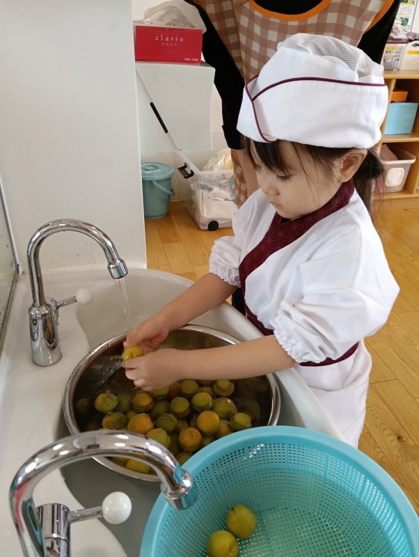 IMG20260703095327