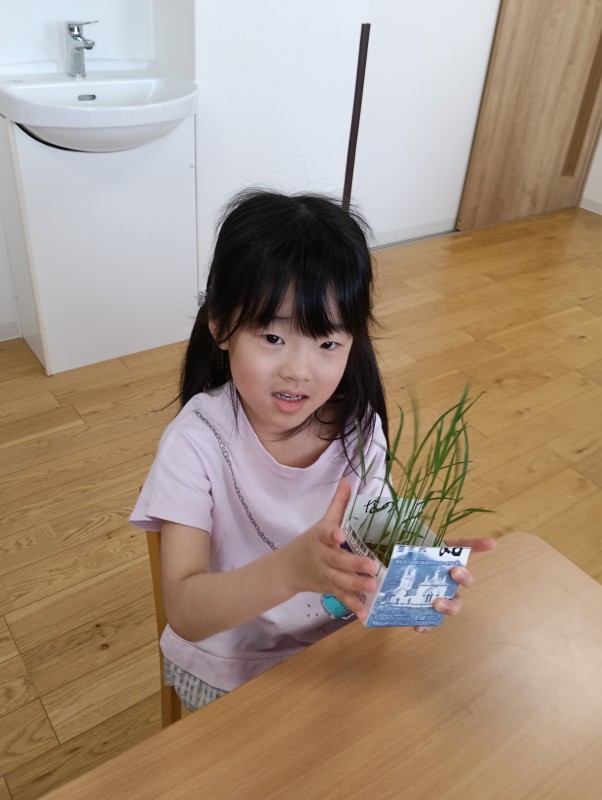 IMG20260518100801