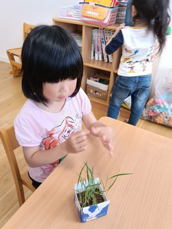 IMG20260518100816