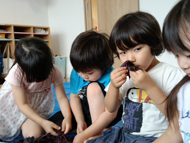 IMG20260709093000