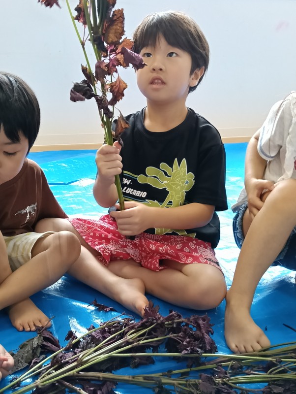 IMG20260709093031