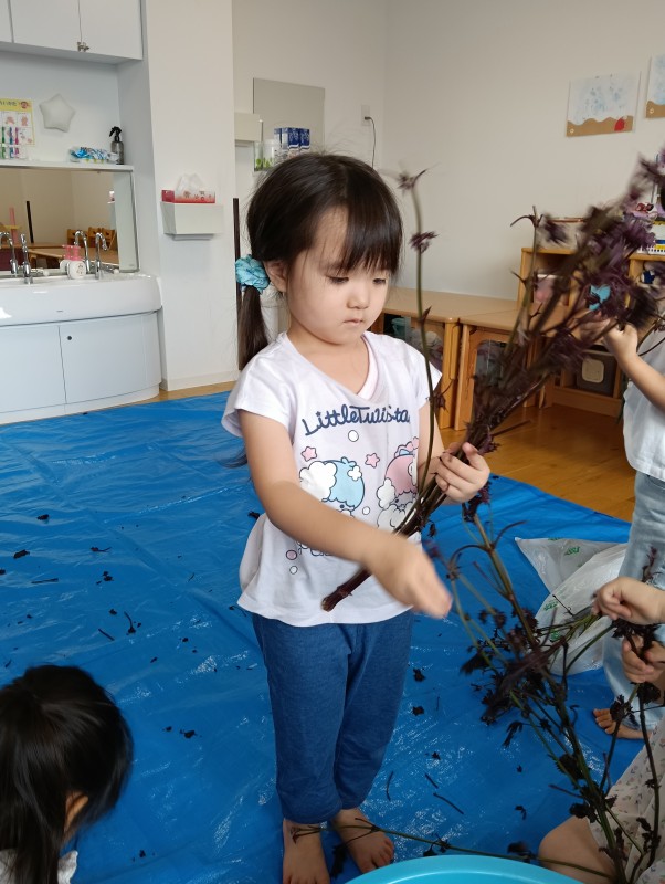IMG20260709095755