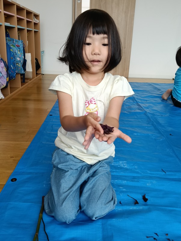IMG20260709095440