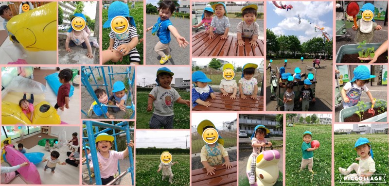 Collage 2025-05-23 09_12_35