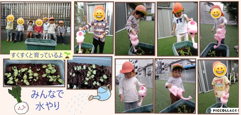 Collage 2025-10-28 17_17_44