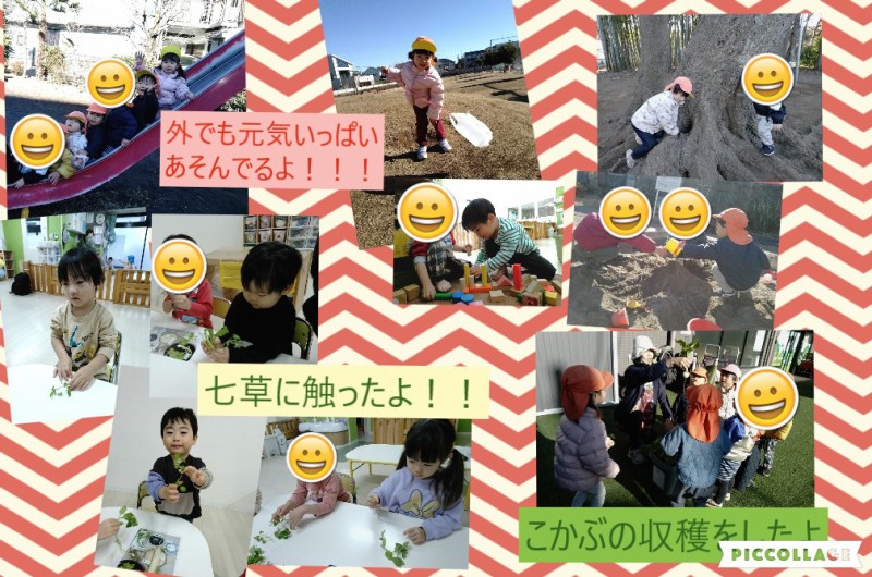 Collage 2026-01-21 10_34_30