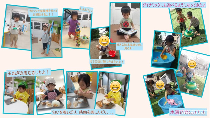 Collage 2026-08-24 10_44_37
