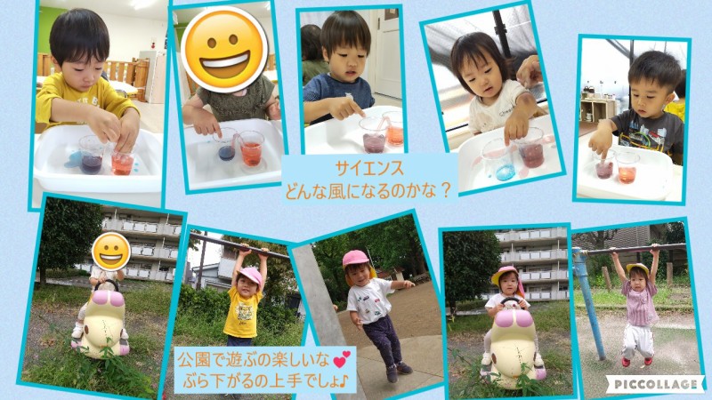 Collage 2026-09-28 08_59_08