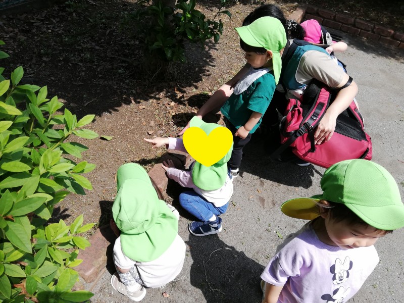 IMG_20250521_100145 - コピー