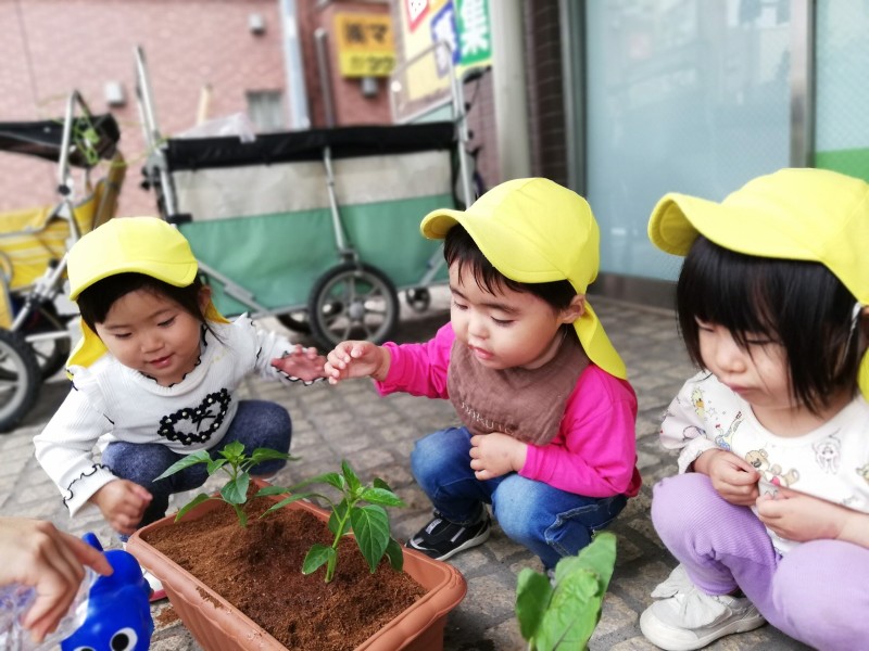 4908dbd7-79fe-424c-ba92-d959c4136afc