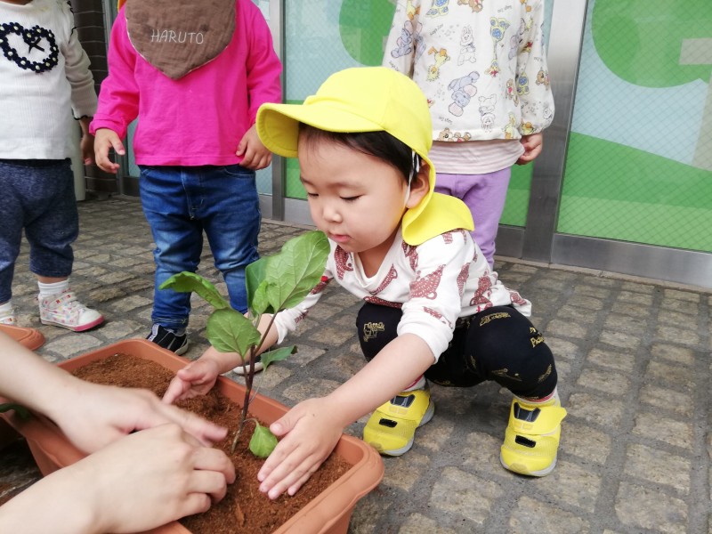 b4a96e95-a71f-42b9-9fbe-63d944e7e3eb