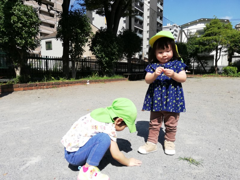 IMG_20250925_101639_1