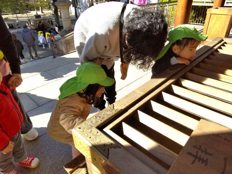 .trashed-1770264966-DSC_0120