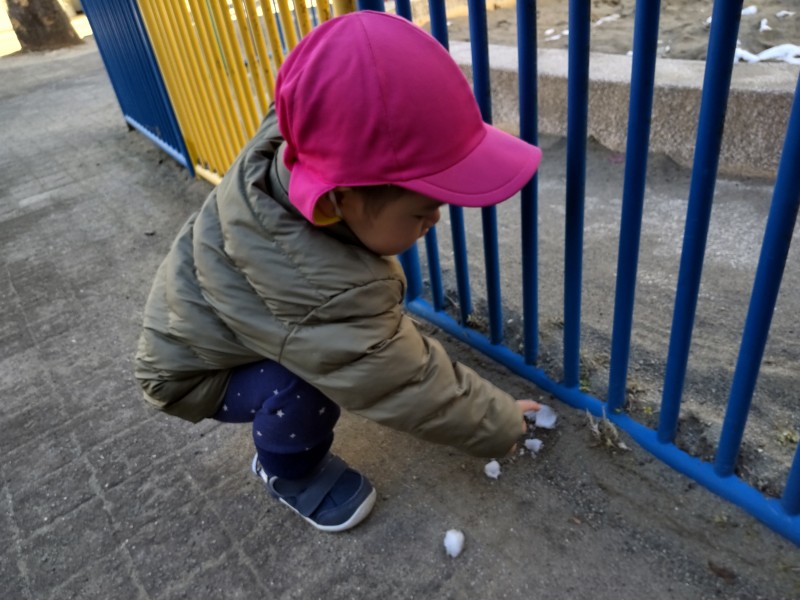 HORIZON_0001_BURST20260209100654035_COVER