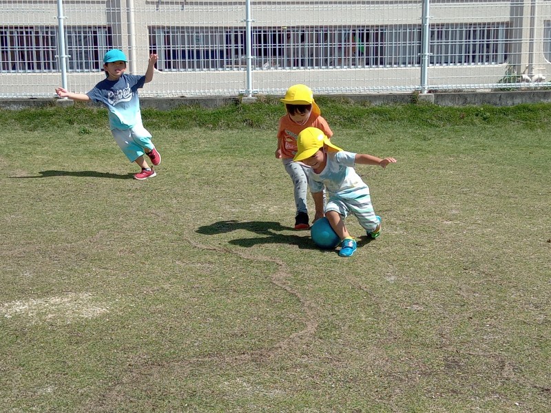 IMG_20250424_101317_154