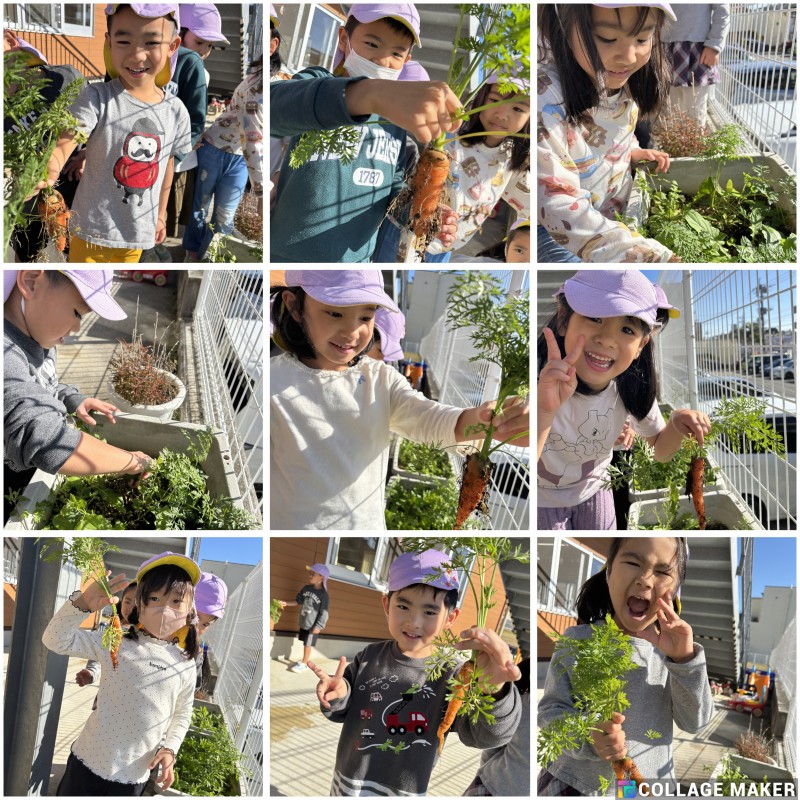 Photo Collage Maker_2026_04_04_10_19_38