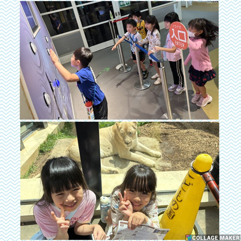 Photo Collage Maker_2026_04_03_02_49_52