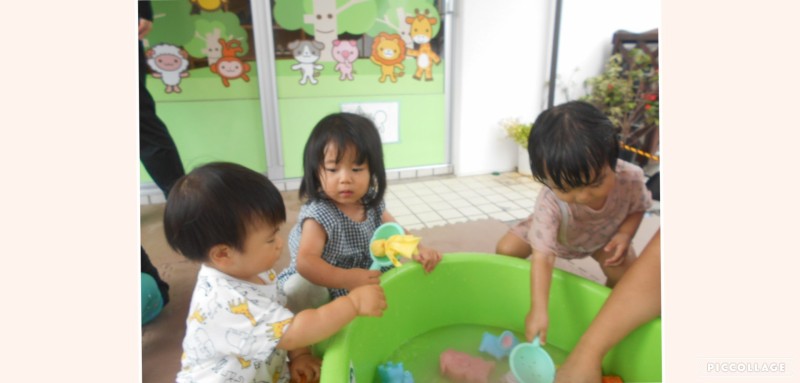 Collage 2025-08-14 10_18_49