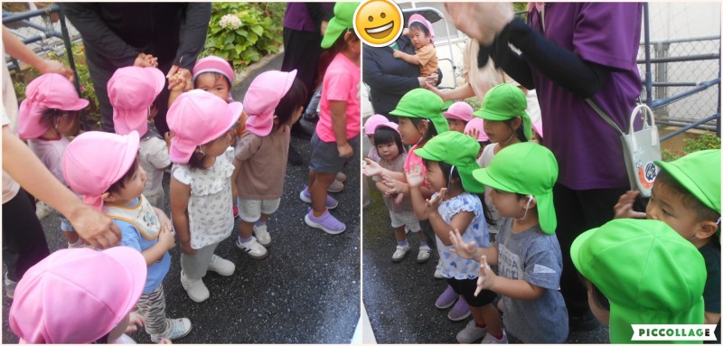 Collage 2025-09-16 14_28_15