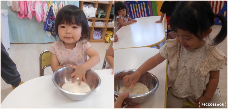 Collage 2025-10-11 15_21_35