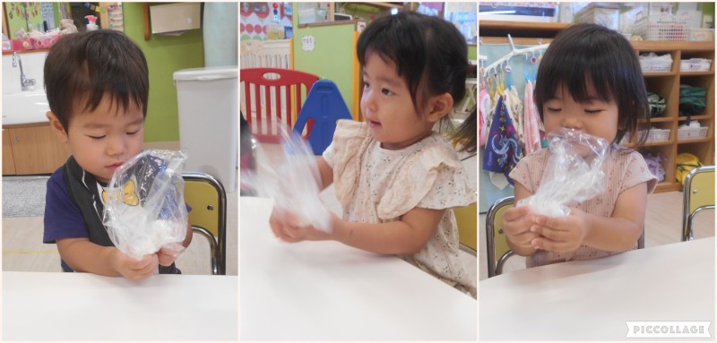 Collage 2025-10-11 15_49_48