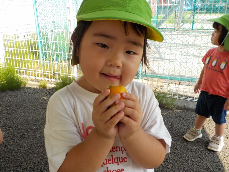 DSCN7501