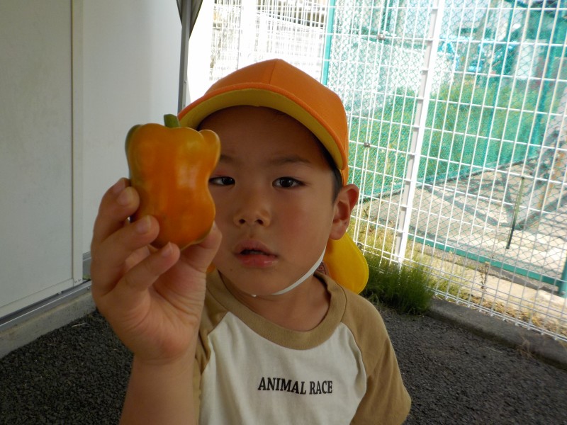 DSCN7502
