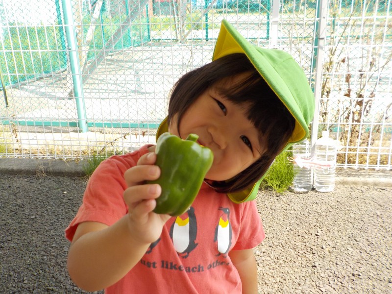 DSCN7503