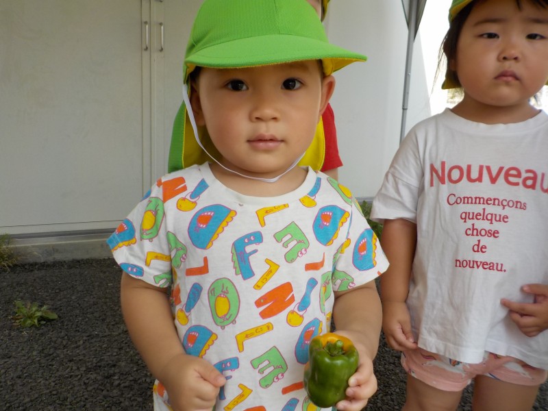 DSCN7504