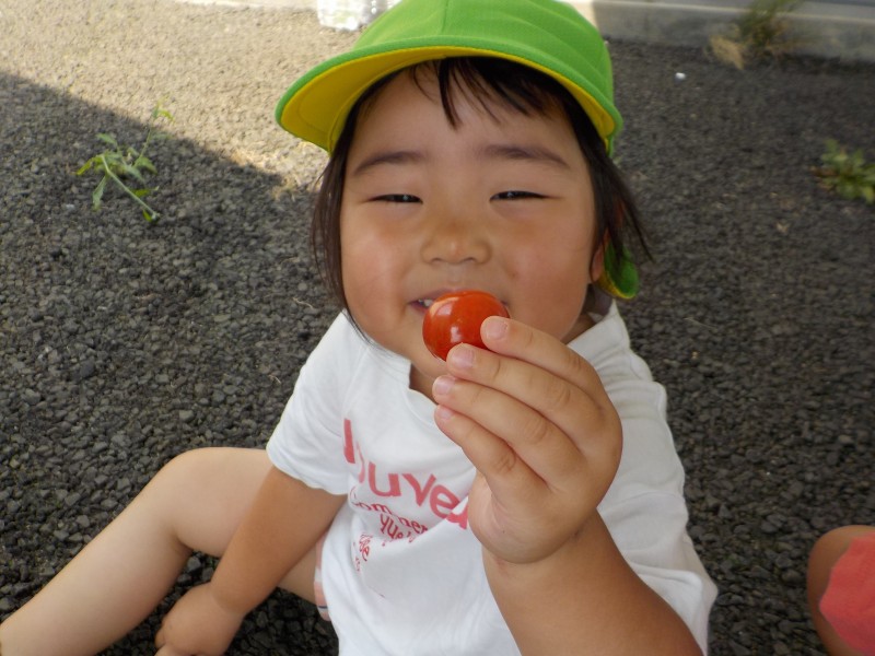DSCN7513