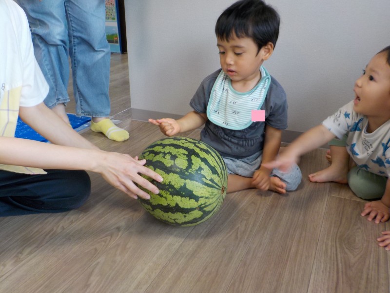 DSCN8285
