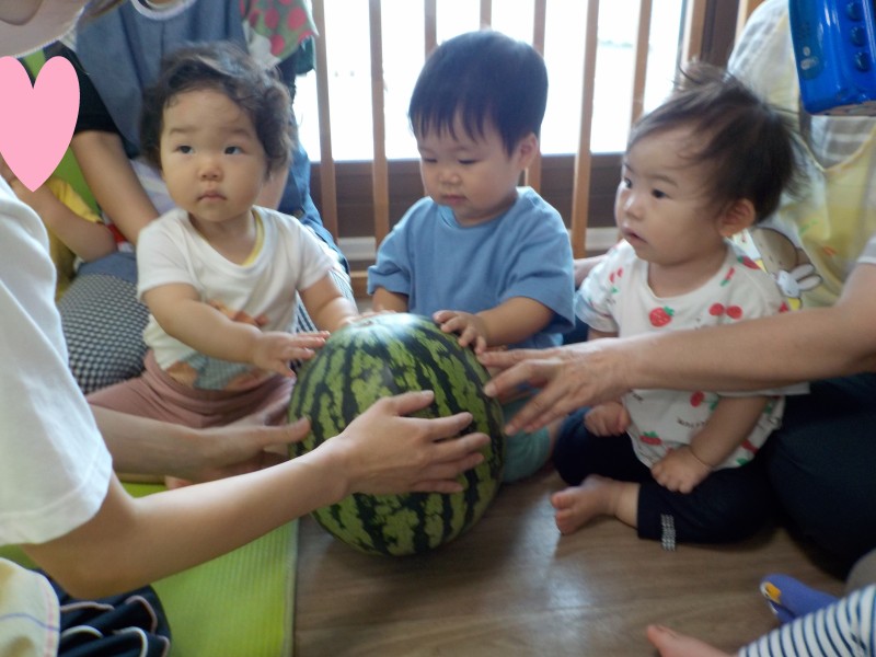 DSCN8263