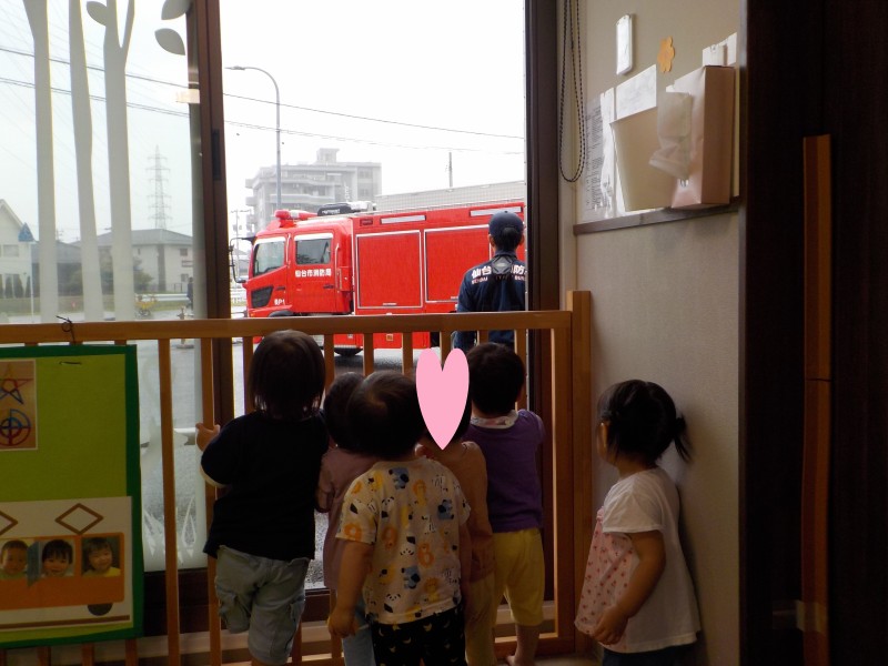 DSCN8764