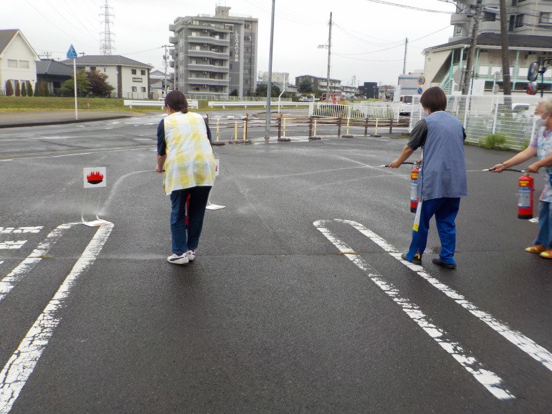 DSCN8778