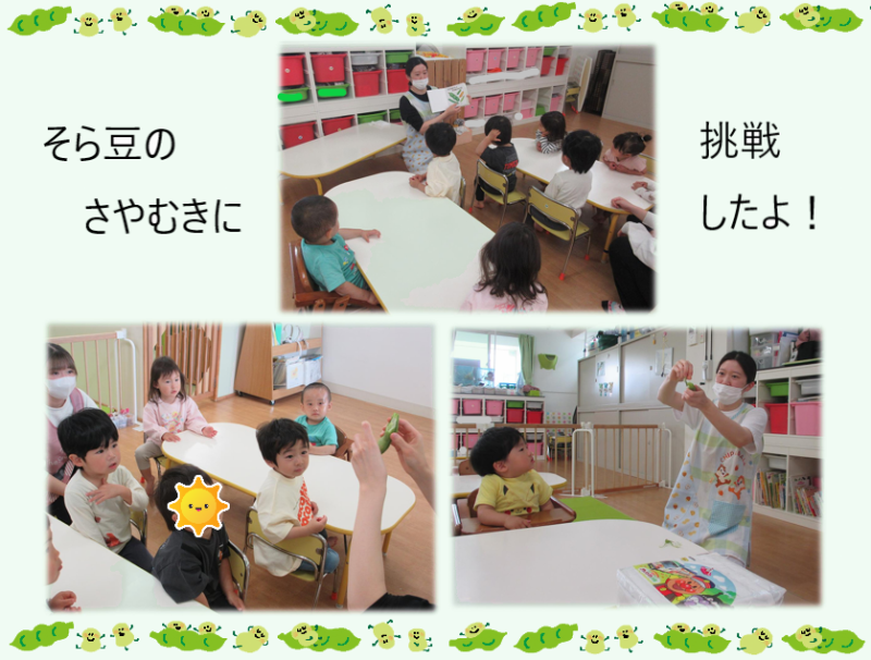 全体