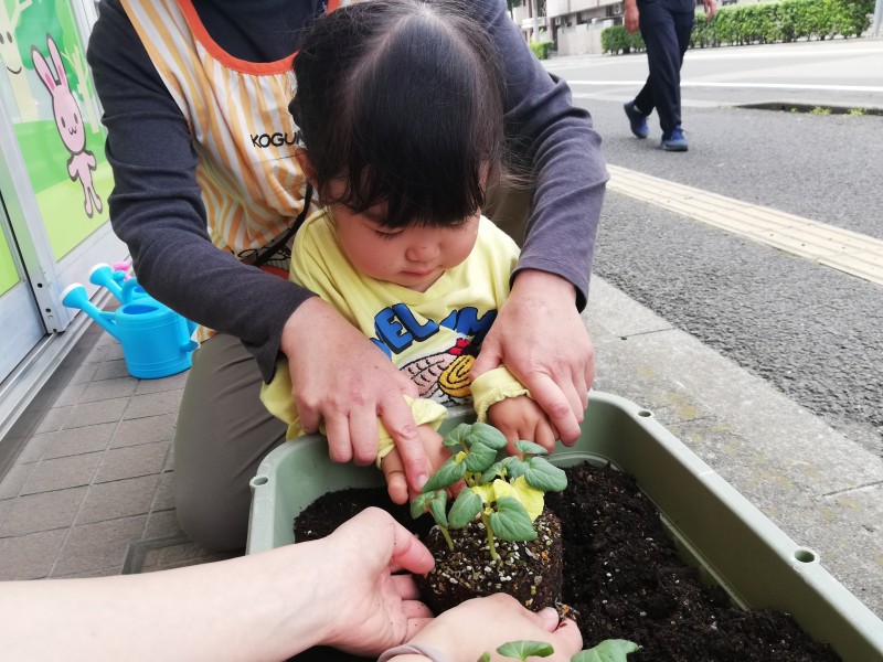 IMG_20250514_105548