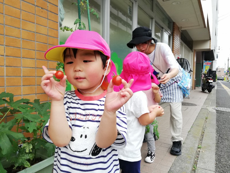 IMG_20250710_104729_1