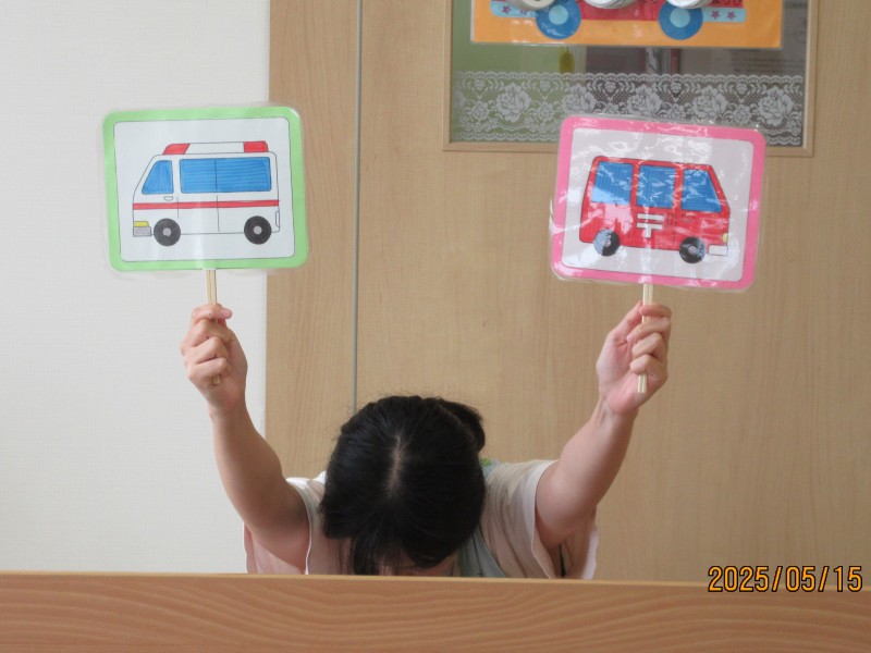 IMG_4234 - コピー