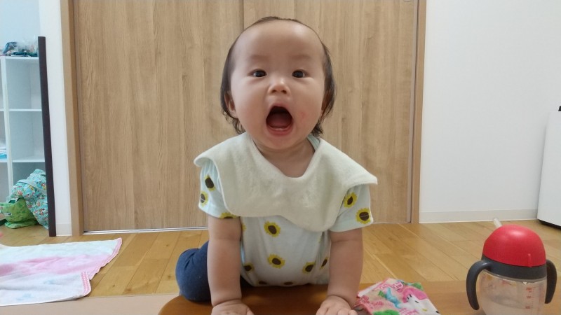 IMG_0004_BURST00120250918093605