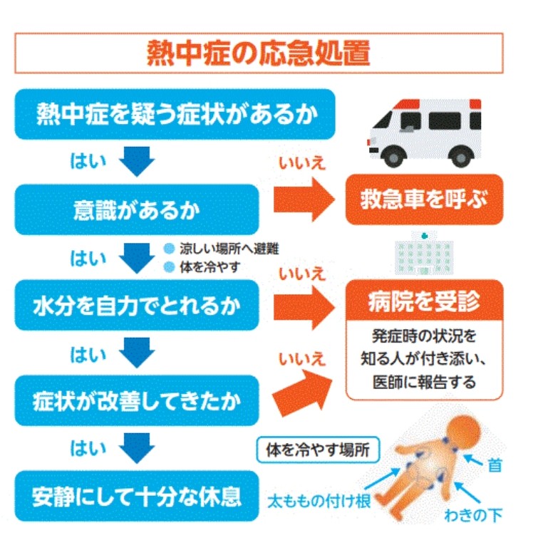 Screenshot_20250702-172424_Chrome