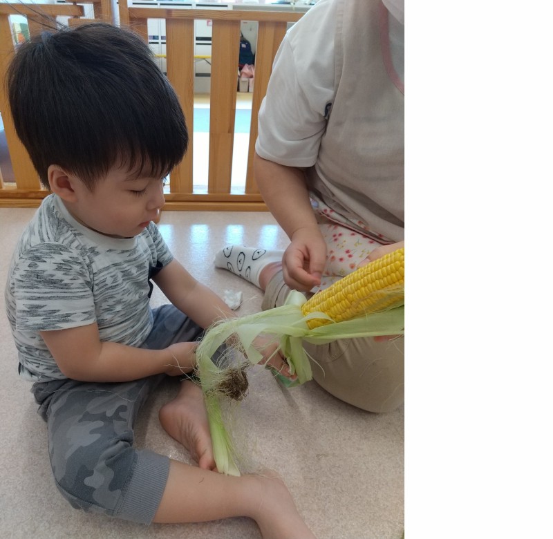とうもろこし