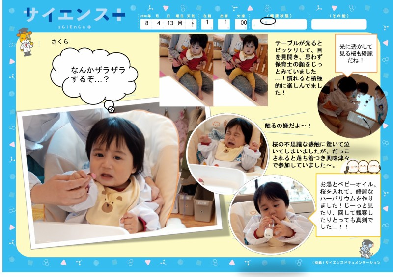 さくら1 ひよこ組